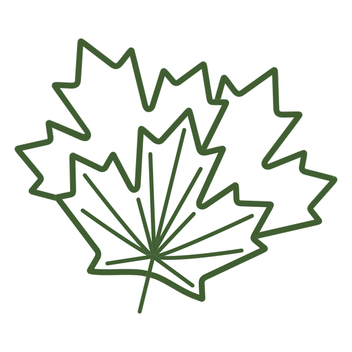 Maple Tree Leaf Icon