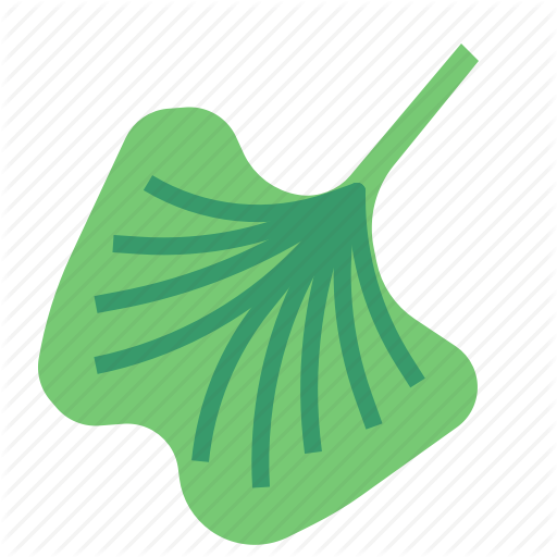 Food, Herb, Lettuce, Vegetable Icon