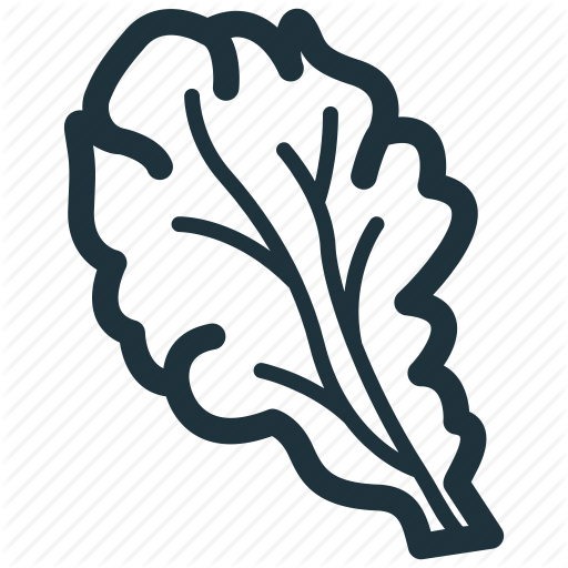 Food, Lettuce, Salad, Vegan, Vegetable Icon