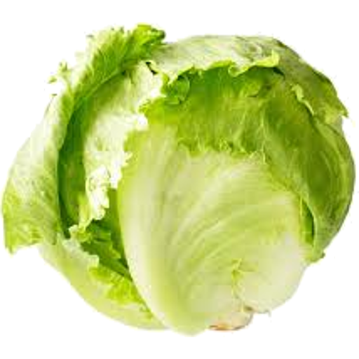 Lettuce Iceberg