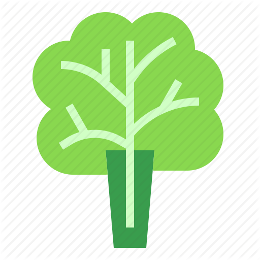 Leaf, Lettuce, Salad Icon