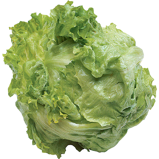 Lettuce