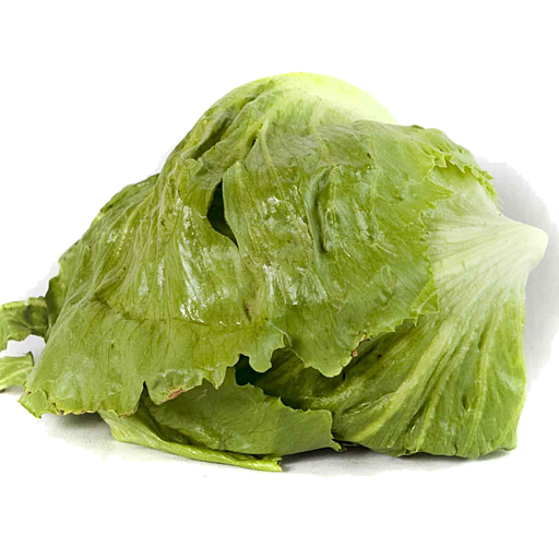 Lettuce