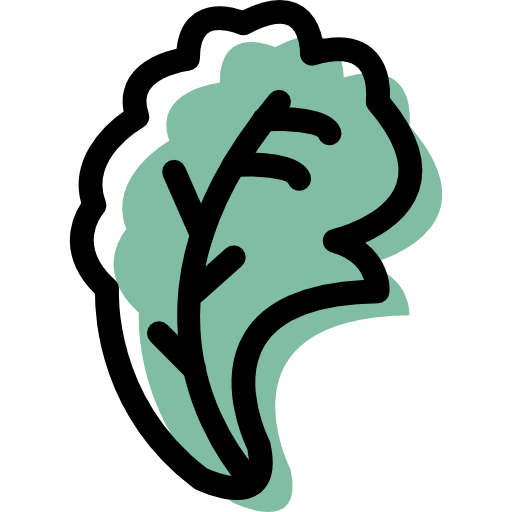 Lettuce Icon Free Of Drink And Food Assets