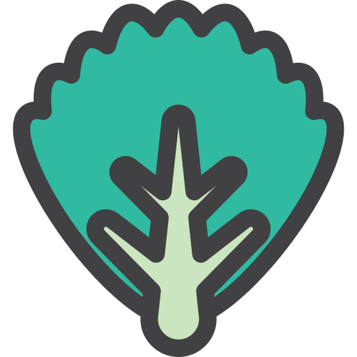 Lettuce Png Icon