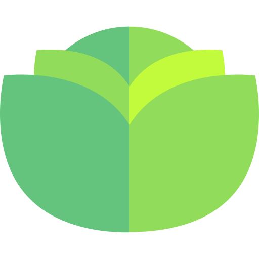 Lettuce Png Icon