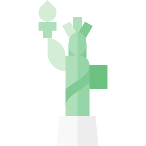 Statue Of Liberty Png Icon