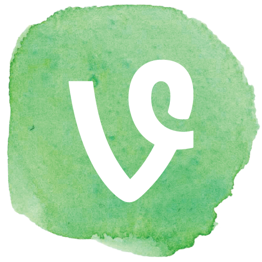 Social, Social Media, Vine Icon