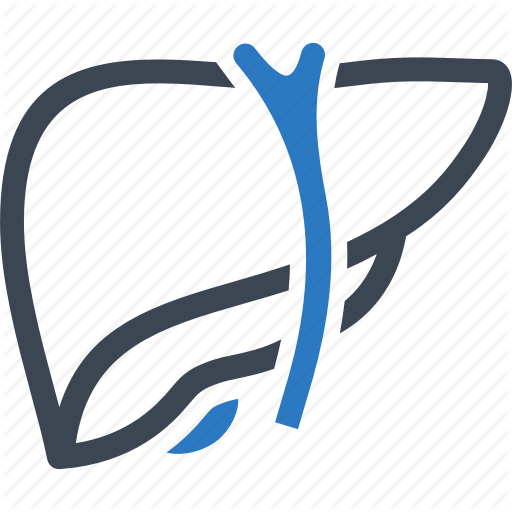 Anatomy, Detoxification, Hepatology, Liver Icon