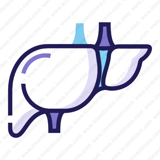 Download Liver,organ Icon Inventicons