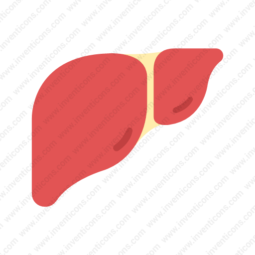 Download Liver Icon Inventicons
