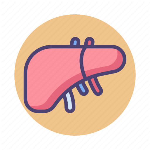 Liver, Organ Icon