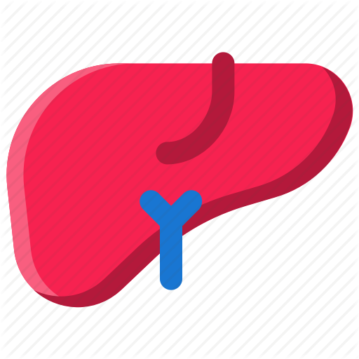 Liver Icon