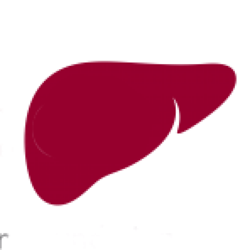 Cropped Liver Favicon