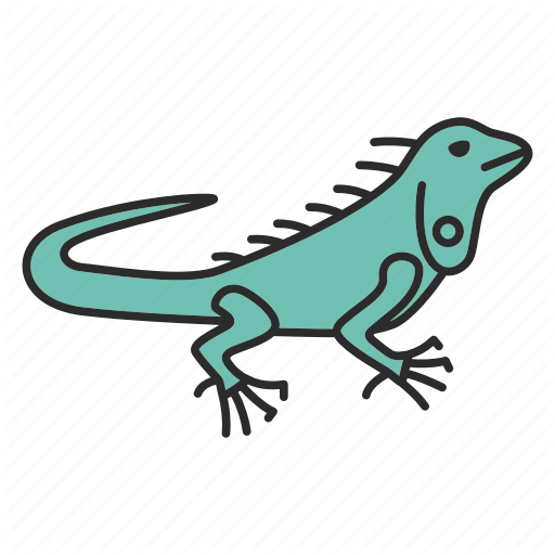 Animal, Herbivorous, Iguana, Lizard, Pet, Reptile, Wildlife Icon