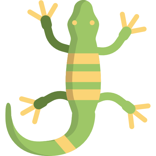 Lizard
