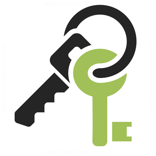 Keys Icon Iconexperience