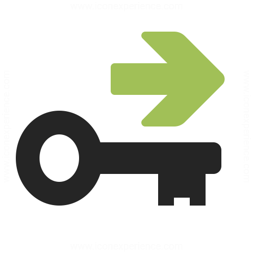 Log N Iconexperience