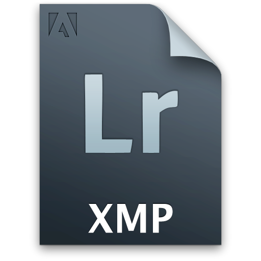 Secondary, File, Xmp, Lr, Document Icon