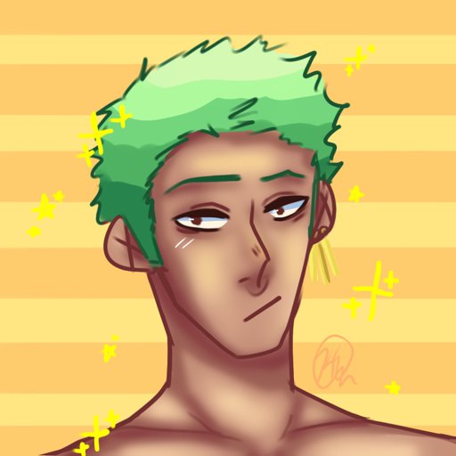 Lawzo Icons P One Piece Amino