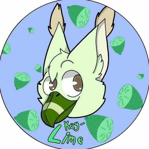 Some Of My Art Furry Amino
