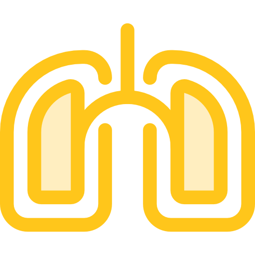 Lung, Healthcare And Medical, Medical, Organ, Lungs, Breath