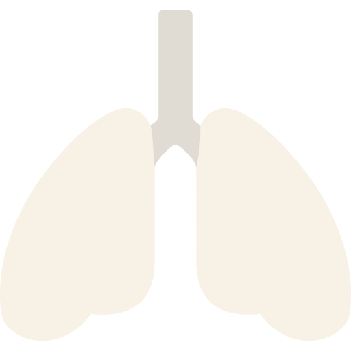 Lung Png Icon