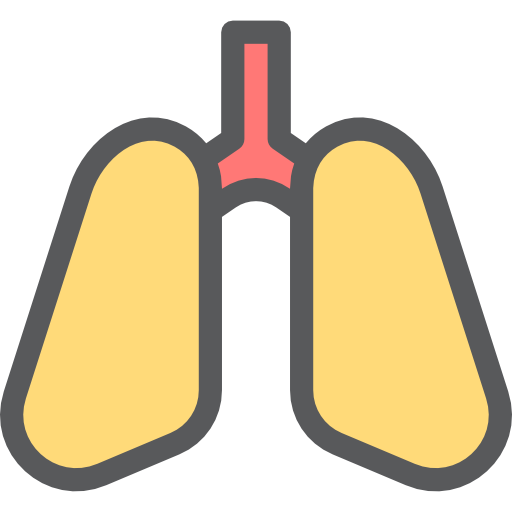 Lungs Icon