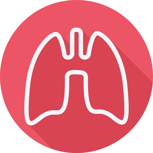 Lungs Lung Png Icon