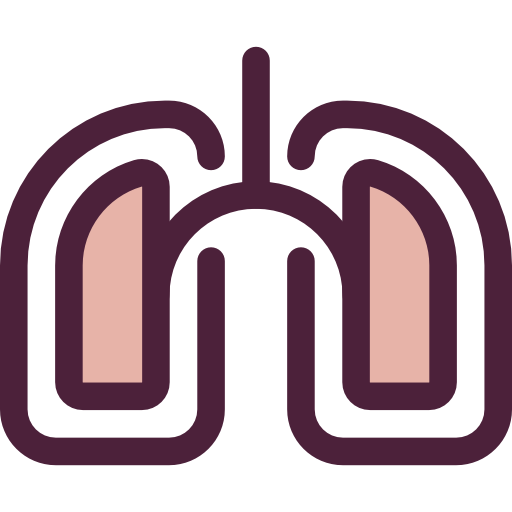 Medical, Organ, Lungs, Breath, Anatomy, Lung, Healthcare