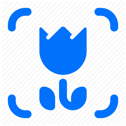 Macro, Photography, Settings Icon