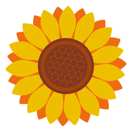 Isolated Sunflower Head Icon