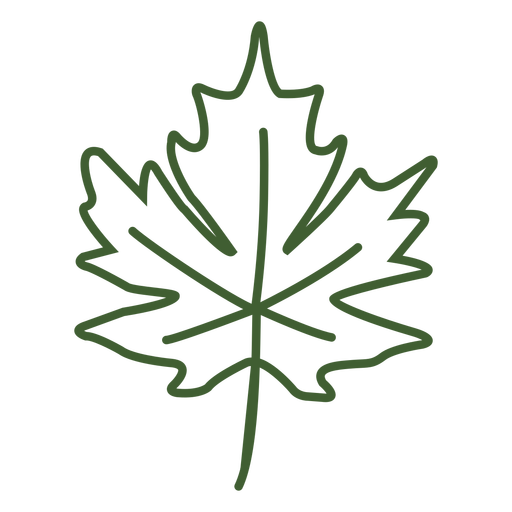 Flat Maple Leaf Icon
