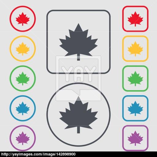 Maple Leaf Icon Symbols On The Round And Square Buttons