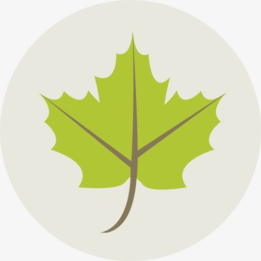Leaf Icon, Green Icon, Green Leaves Png Image And Clipart For Free