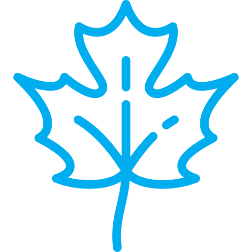 Maple Leaf