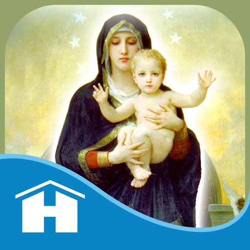 Mary, Queen Of Angels Oracle Cards