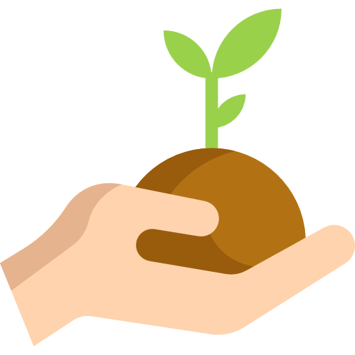 Donate All Newton Music School