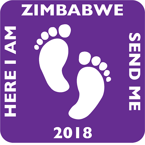 Zimbabwe Gives Out Eyeglasses Too!