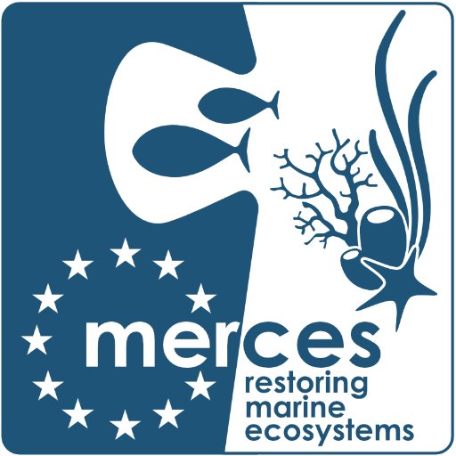 Merces Eu On Twitter Crossword Saturday! With Love