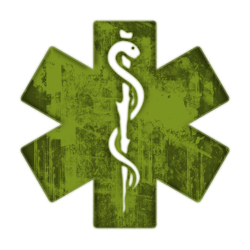 Medical Alert Symbol Icon