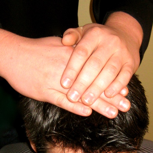 Lds Priesthood Ordinances