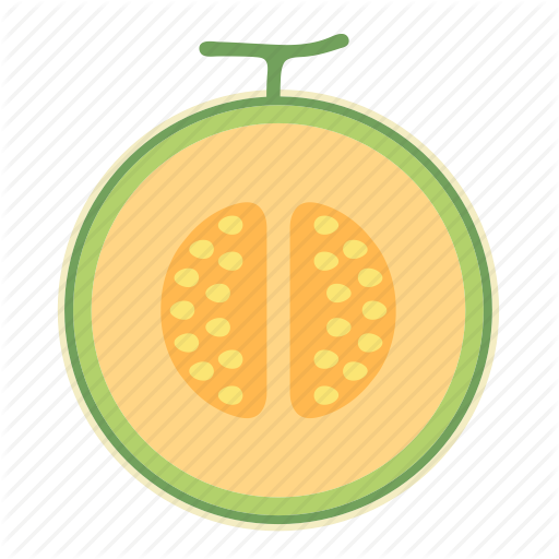 Cantaloupe, Food, Fruit, Honeydew Melon Icon