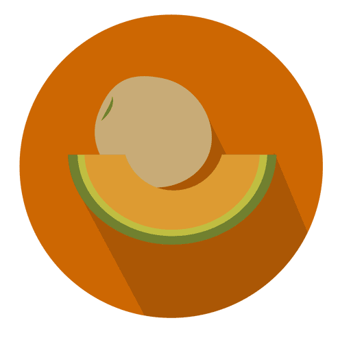 Melon Flat Circle Icon