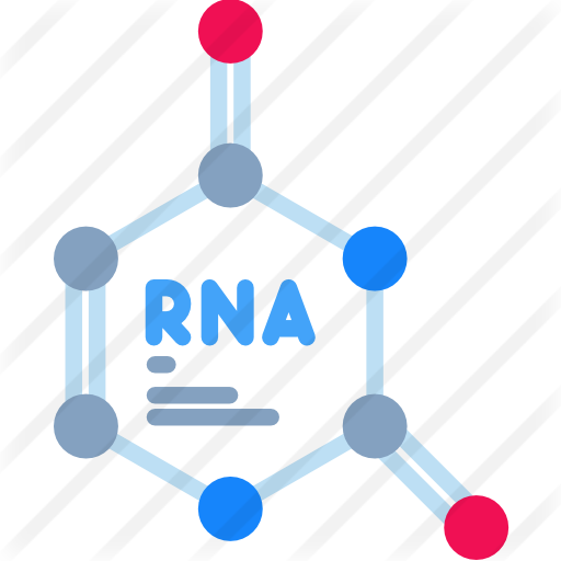 Rna