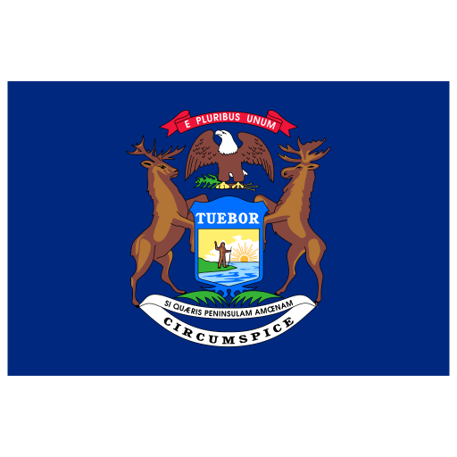 Us Mi Michigan Flag Icon