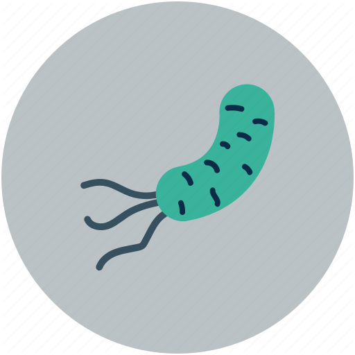 Bacteria, Infection, Microbe, Virus Icon