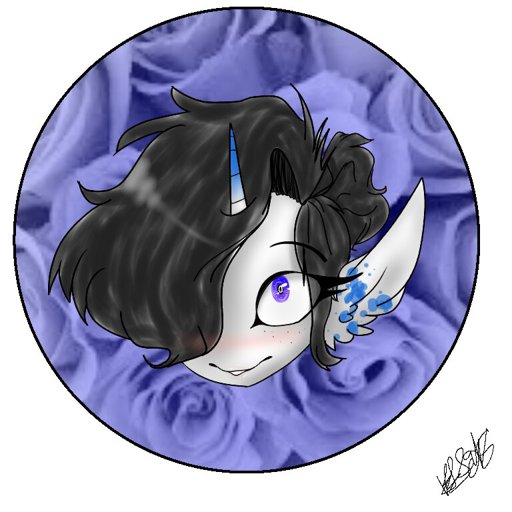 Midnight Icon! Oc Amino