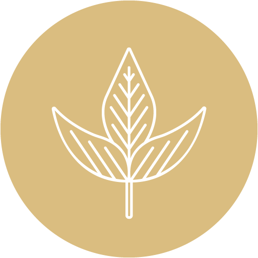 Lady Bonin's Tea For The Love Of All Things Tea