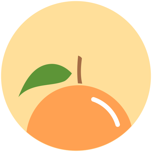 Orange Icon Minimal Fruit Iconset Alex T